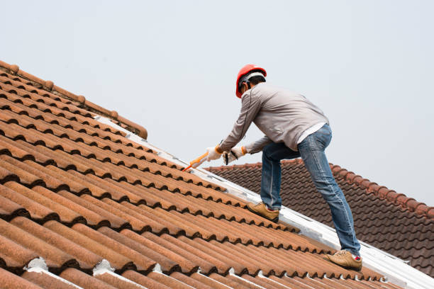 Best Chimney Flashing Repair  in Depew, NY